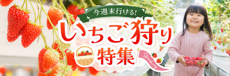 いちご狩り特集