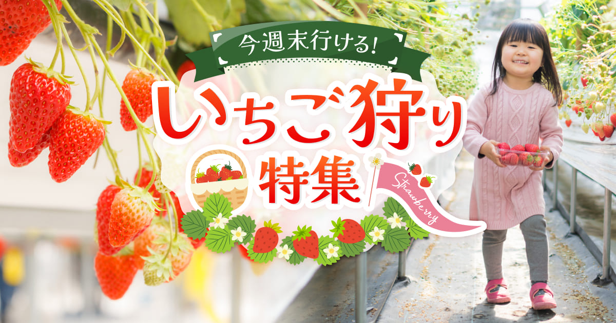 今週末行ける！いちご狩り特集