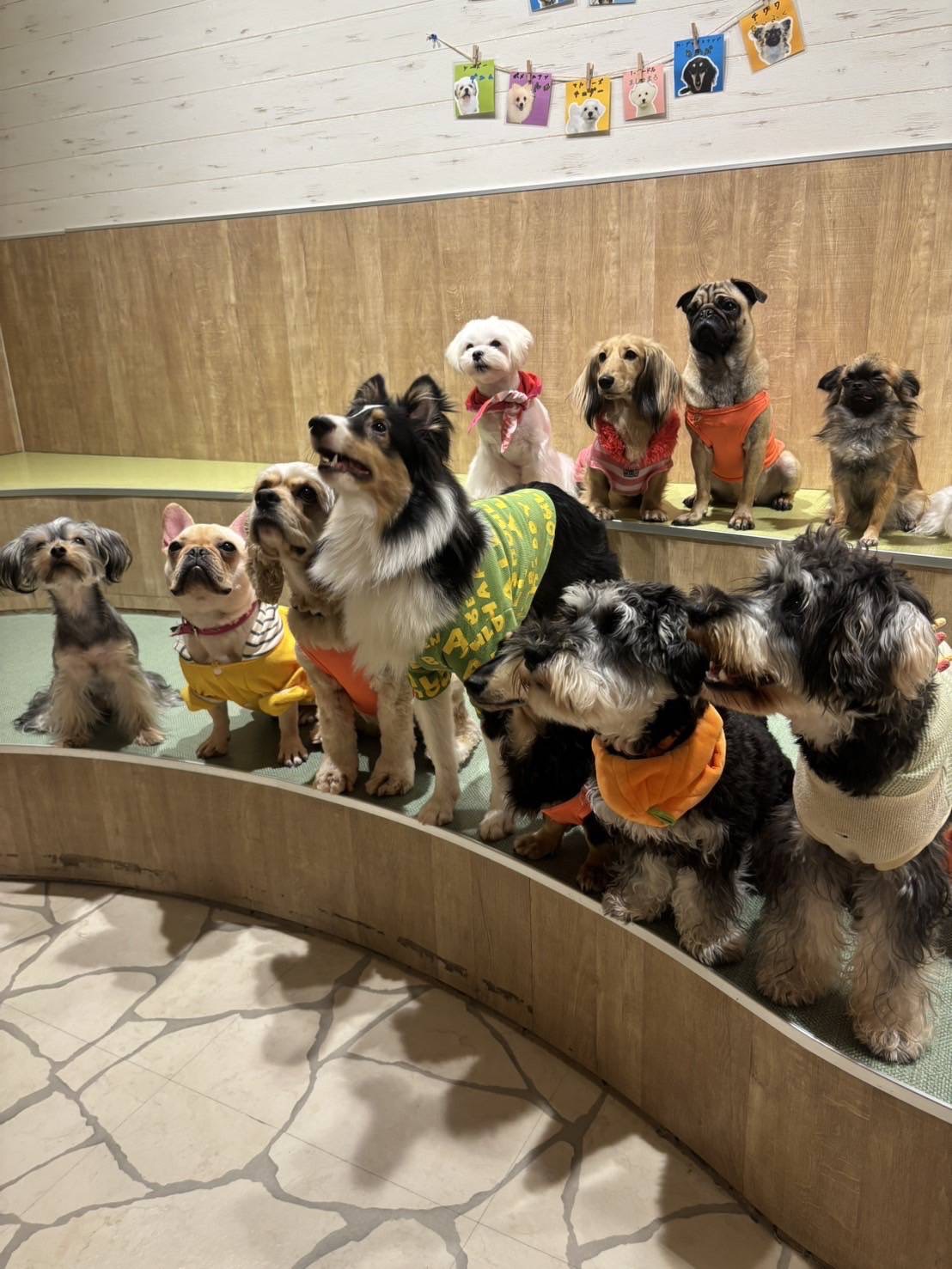いぬカフェRio ゆめタウン広島店
