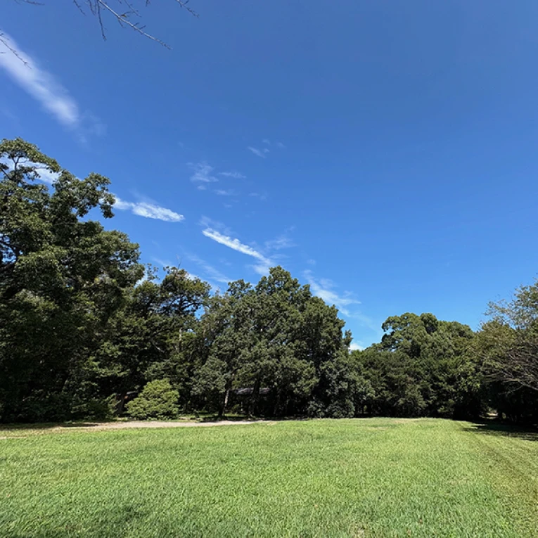 ホウリー・ウッズ久留里 キャンプ村