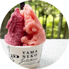 山里のジェラテリア山猫のイメージ画像