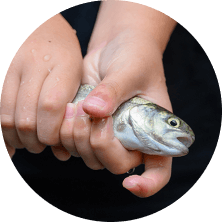 養老渓谷釣堀センターのイメージ画像