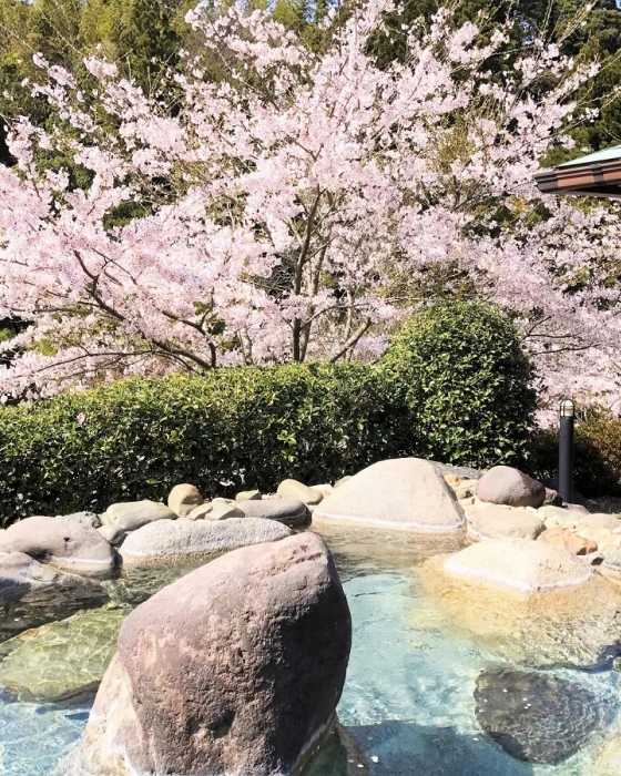 温泉／日帰り温泉のイメージ画像