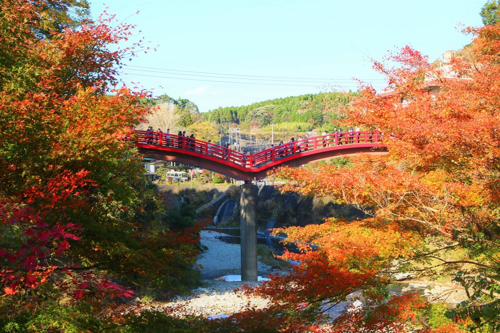 四季折々の「渓谷美」のイメージ画像