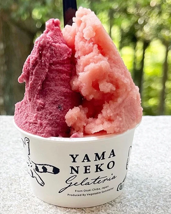 グルメのイメージ画像