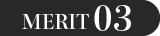 MERIT03