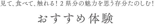 見て、食べて、触れる！2県分の魅力を思う存分たのしむ！おすすめ体験