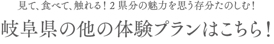 岐阜県の他の体験プランはこちら！