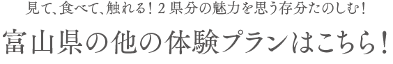 富山県の他の体験プランはこちら！