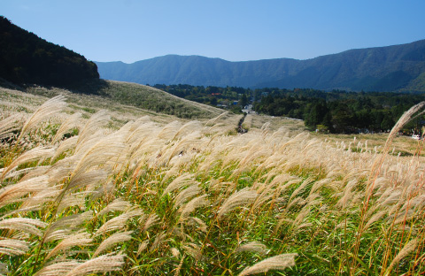 仙石原エリアのメイン風景画像