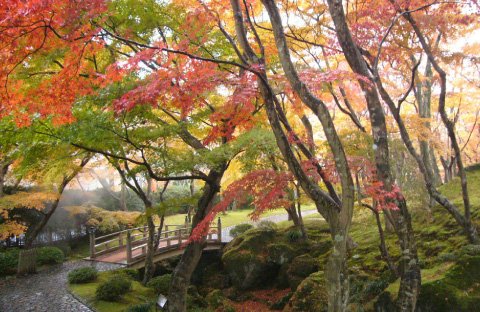 強羅エリアのメイン風景画像