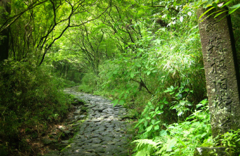 箱根湯本エリアのメイン風景画像
