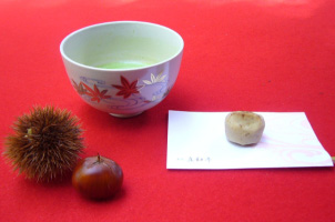 【13％割引クーポン】箱根美術館・割引前売り券＋抹茶・和菓子セット券プランの様子がわかるメイン写真