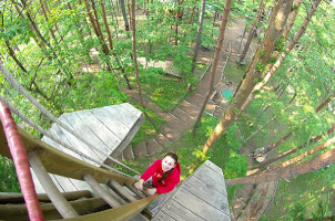 神奈川・箱根・フォレストアドベンチャー（2時間）プランの様子がわかるメイン写真