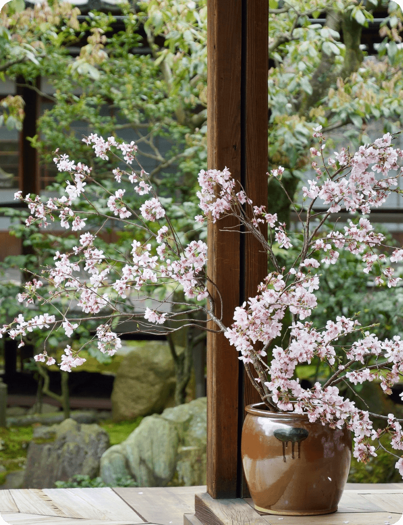 五感で触れる伝統のこころのイメージ画像