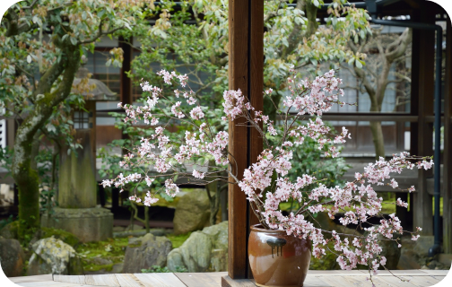 五感で触れる伝統のこころのイメージ画像