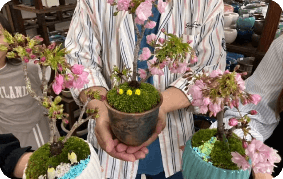 和の心を育む盆栽体験のイメージ画像