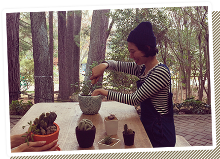 ノアノールから買い取り分