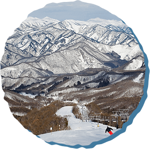 水上宝台樹スキー場