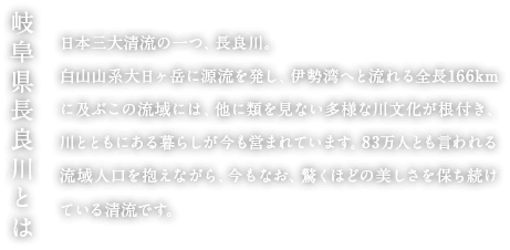 日本三大清流の一つ、長良川。白山山系大日ヶ岳に源流を発し、伊勢湾へと流れる全長166kmに及ぶこの流域には、他に類を見ない多様な川文化が根付き、川とともにある暮らしが今も営まれています。83万人とも言われる流域人口を抱えながら、今もなお、驚くほどの美しさを保ち続けている清流です。
