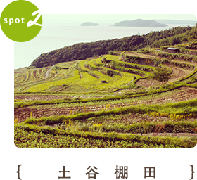 土谷棚田