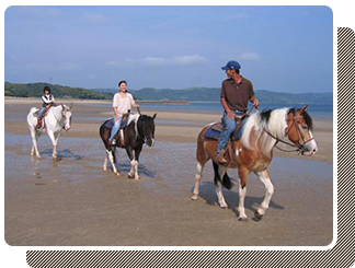 乗馬レッスン、人気の千里が浜ビーチコース
