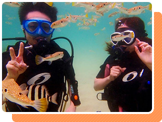 初心者でも安全に楽しめる！体験ダイビングにチャレンジ