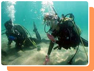 初心者も安心！ダイビングをエンジョイ、海中の絶景に感動