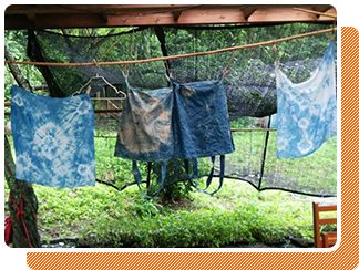 自分で染めたハンカチは何よりの宝物！季節の色を感じよう