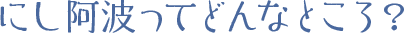 にし阿波ってどんなところ？