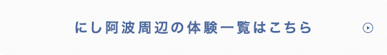 にし阿波周辺の体験一覧はこちら
