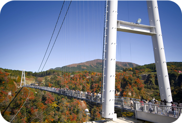 九重“夢”大吊橋