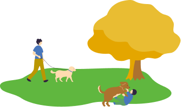 公園で犬と遊ぶ