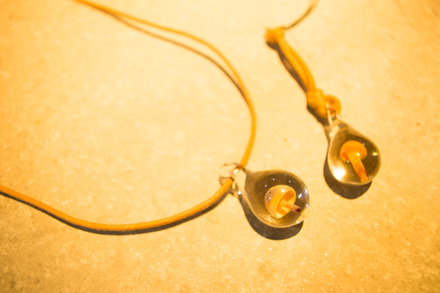 プランの様子がわかるメイン写真