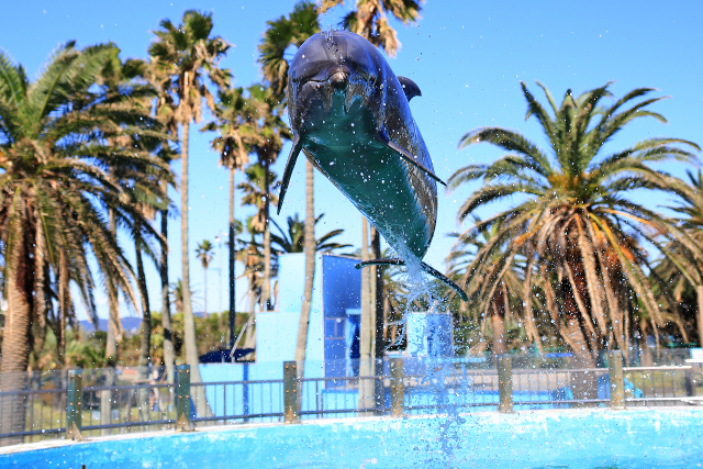 プランの様子がわかるメイン写真