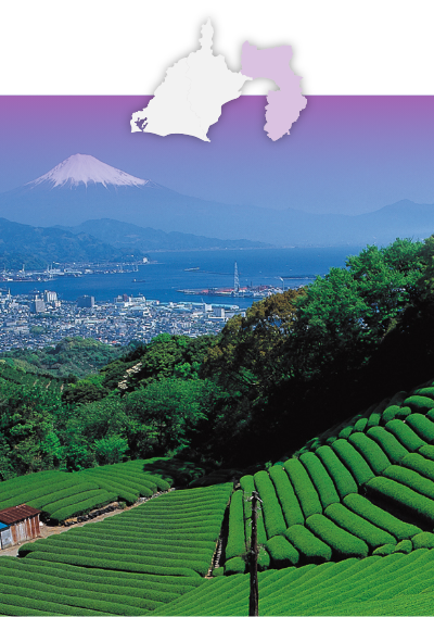 東部・伊豆エリア