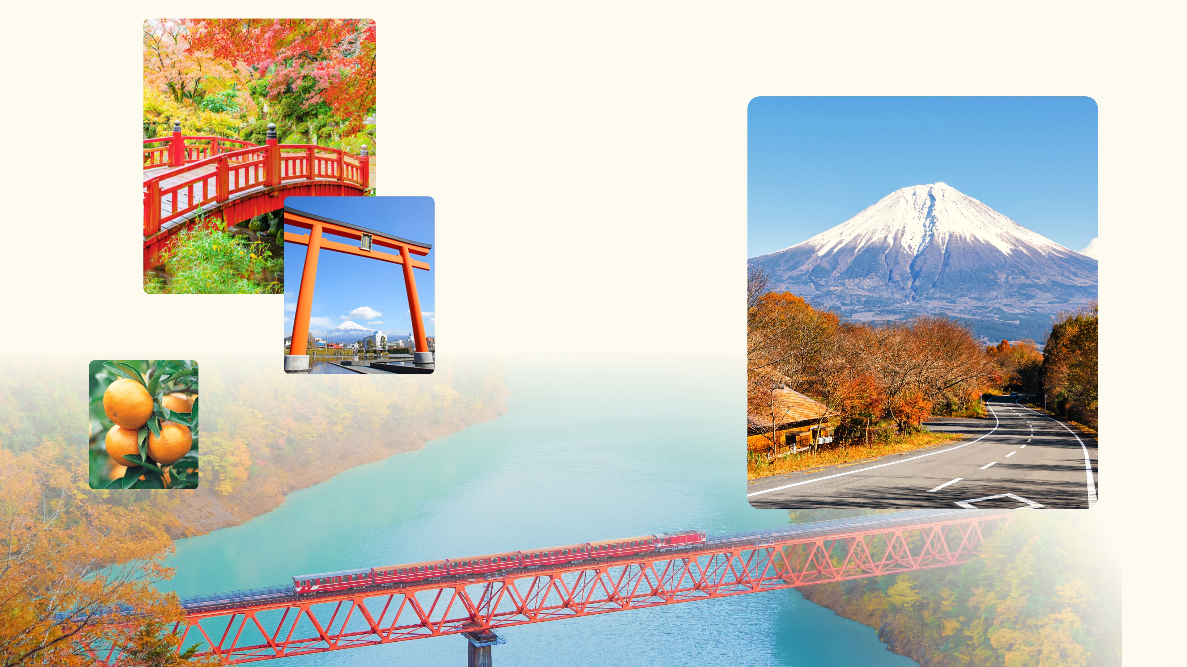 静岡銀行80周年記念 体験ギフトが抽選で当たる！