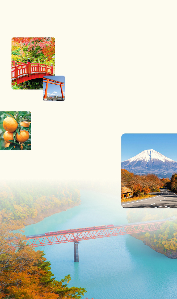 静岡銀行80周年記念 体験ギフトが抽選で当たる！