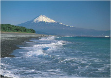 写真：三保松原