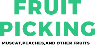 FRUIT PICKING -  Muscat,Peaches,and other fruits