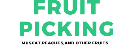 FRUIT PICKING Muscat,Peaches,and other fruits