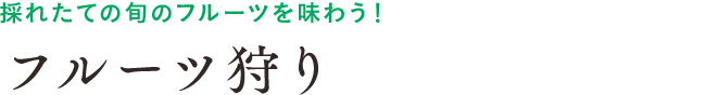 採れたての旬のフルーツを味わう！フルーツ狩り