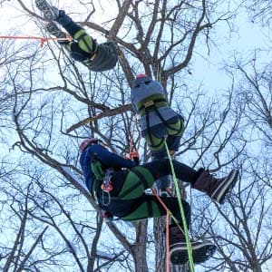 クロスカントリースキー&ツリークライミングガイドツアー