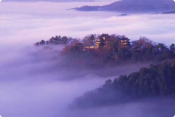 雲海に浮かぶ「天空の山城」として幻想的な風景が人気の備中松山城。