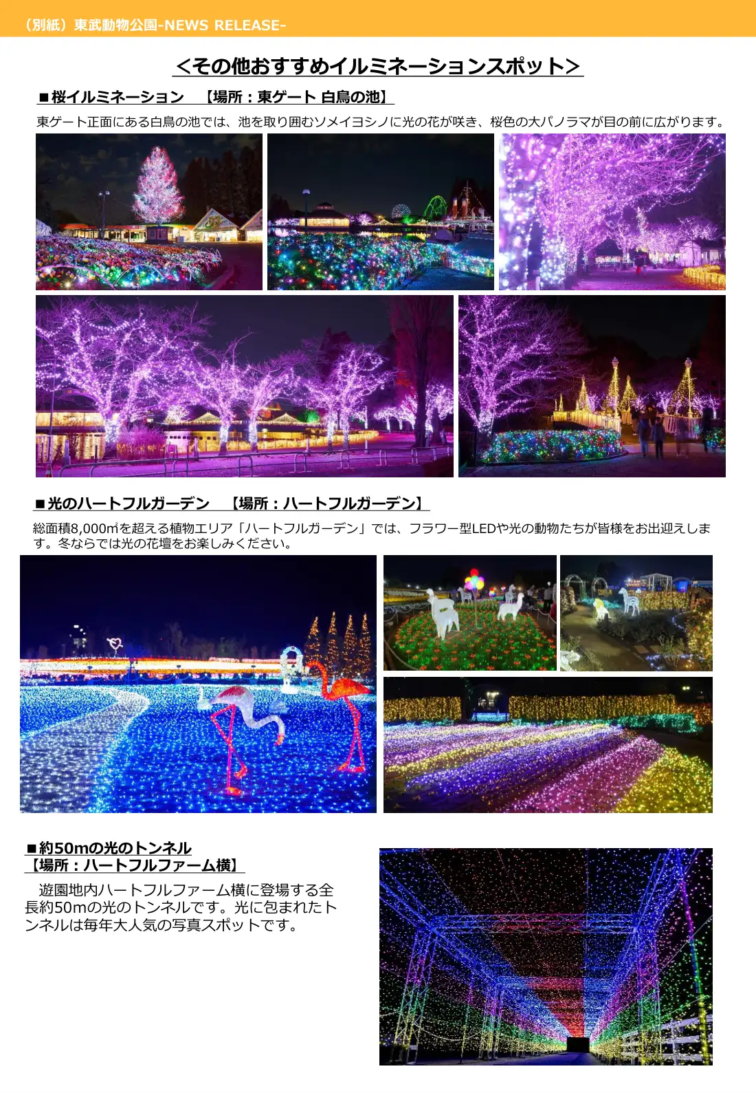 ウインターイルミネーション ご案内 4ページ目
