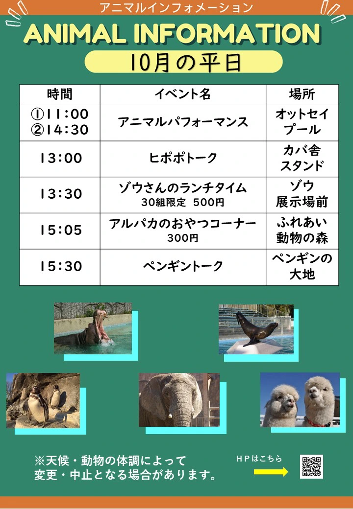 10月平日の動物園イベント一覧。時間・内容・場所を掲載