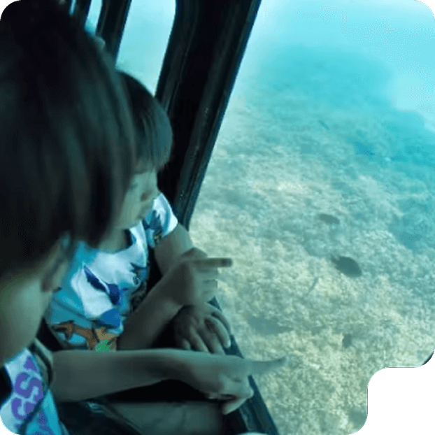 観光船ブルーマリン号で遊覧するイメージ画像