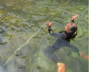 ボートシュノーケリング