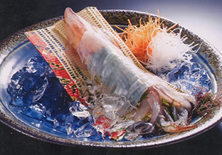 活イカ料理